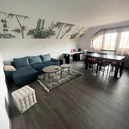 Eroilor II Apartament Apartment Suceava Exterior photo