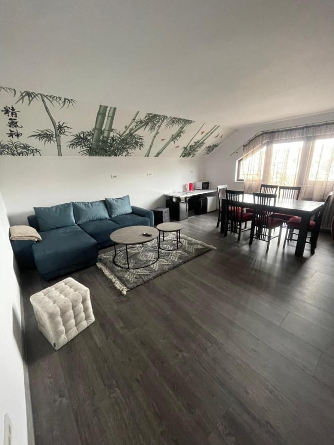 Eroilor II Apartament Apartment Suceava Exterior photo